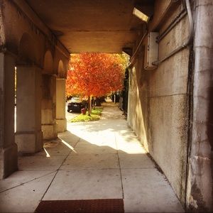 Meet your Posher, Bridget